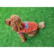 Photo3: Small Dog MOON Thermal Stripe T-shirt (3)